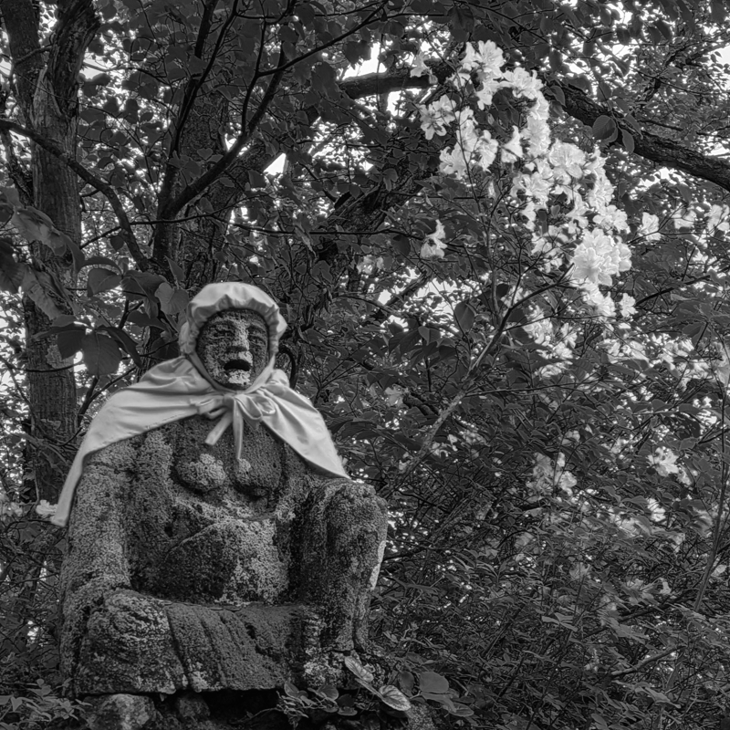 大姥神と山躑躅