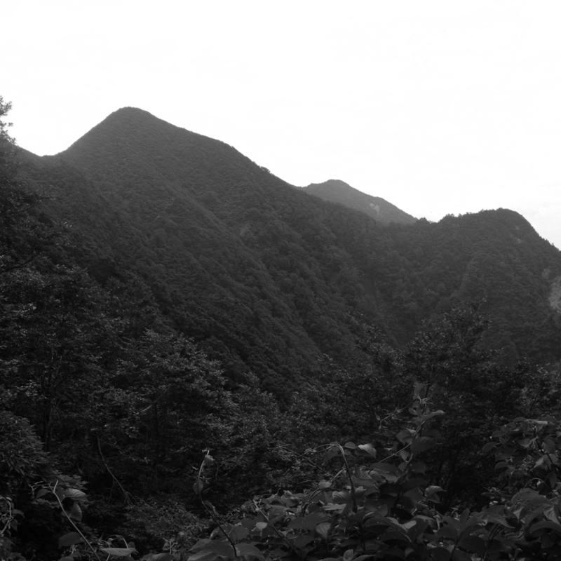 北雁戸 2025-06-30