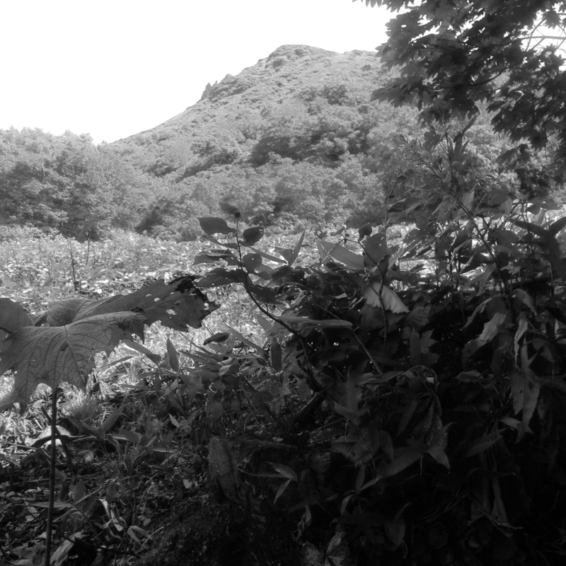 宝沢参詣道の三宝荒神碑