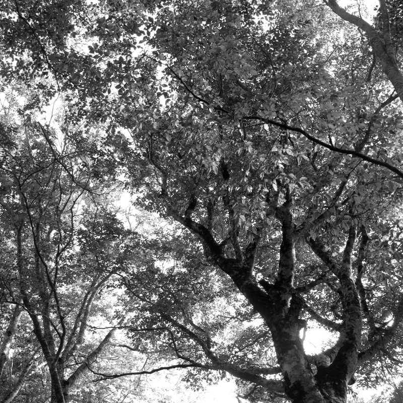 羽州葉山 2025-10-10