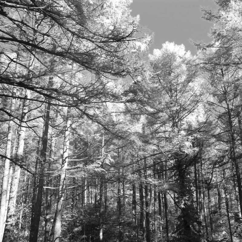 頭殿山 2025-11-05